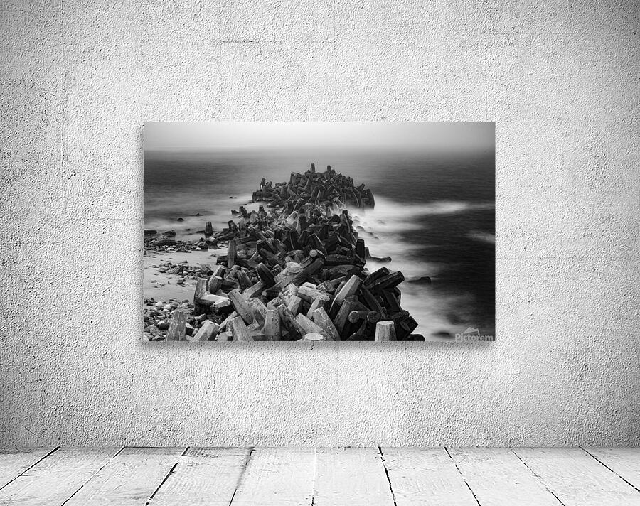 Dollos 1 Wall Preview