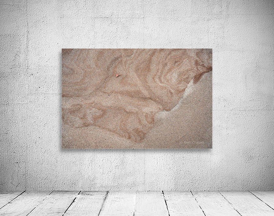 Artefact saumon Wall Preview