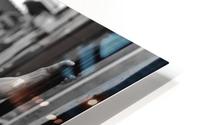 The Long Hard Look HD Metal print