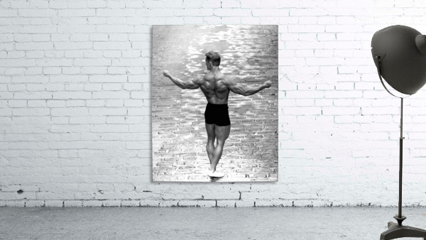 Delts on Cobblestone Wall Preview