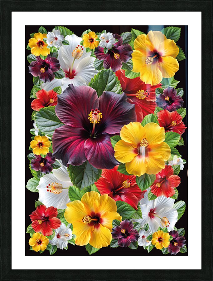 les fleures Picture Frame print