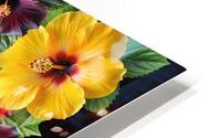 les fleures HD Metal print