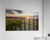 One day follow Acrylic Print