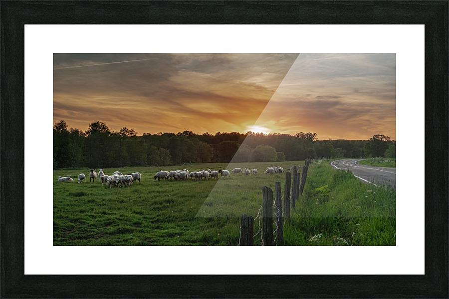 In the sunset Picture Frame print