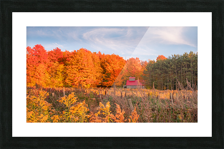 Between two seasons Picture Frame Printing