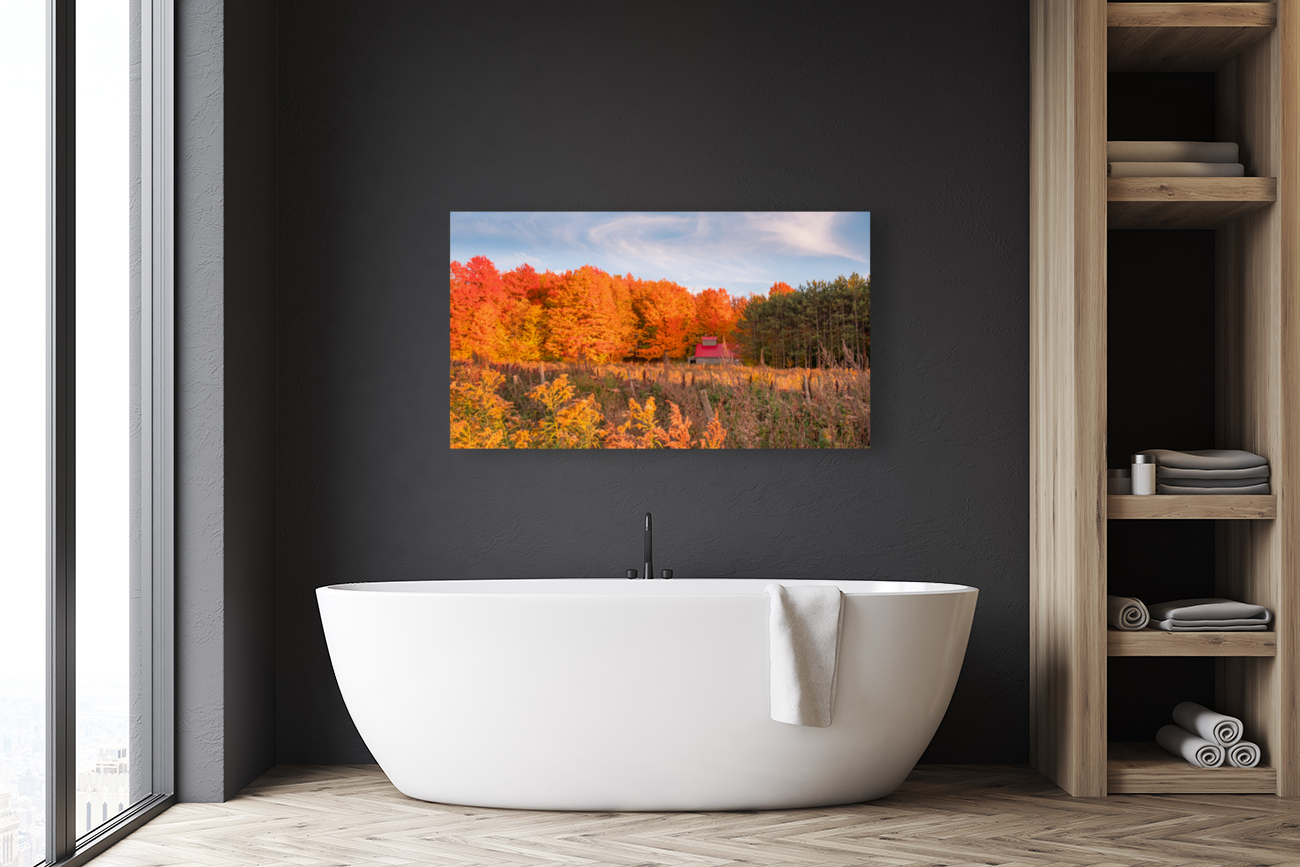 Between two seasons Reproduction