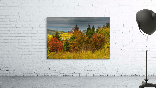 Autumn rainbow Wall Preview