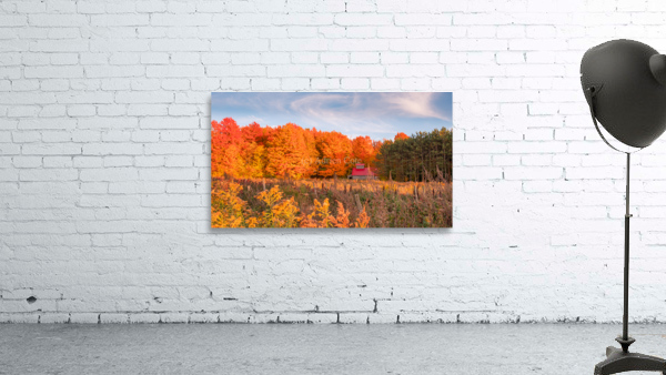 Between two seasons Wall Preview
