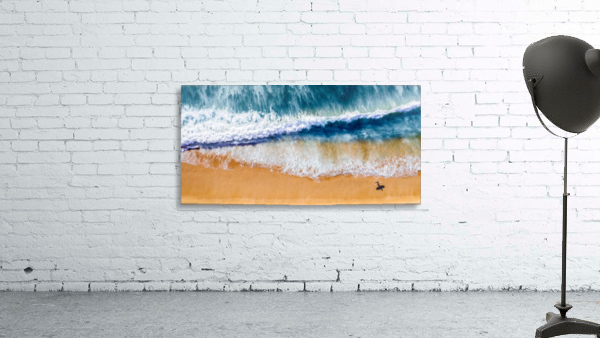 Surfer Wall Preview