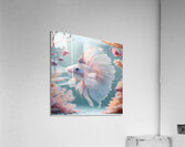 Pearlescent Betta Acrylic Print