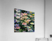 Serene Reflection Acrylic Print