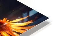 Phoenix Rising HD Metal print