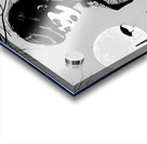 Shadows & Lace Acrylic print