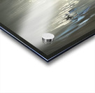 Blurred Visions Acrylic print