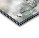 Fading Boundaries Acrylic print