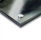 The Silence Between Shadows Acrylic print