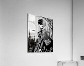 Shadows & Lace Acrylic Print