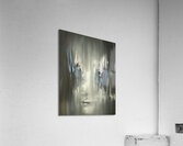 Blurred Visions Acrylic Print