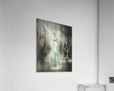 The Whisper of Silk and Steel Acrylic Print