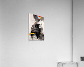 Isolated Within Defined Lines Acrylic Print