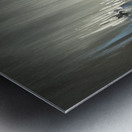 Blurred Visions Metal print