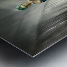 The Whisper of Silk and Steel Metal print