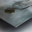 Veil of Time Metal print