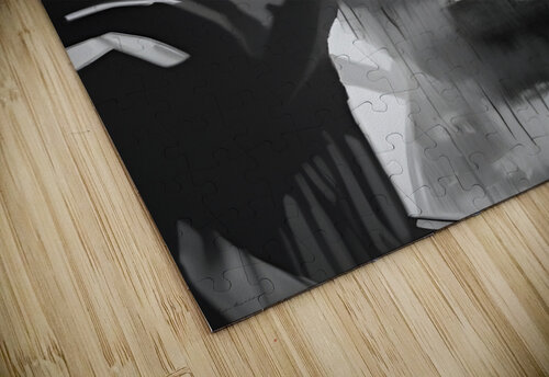 Reflections of the Mind fadi van yaldani puzzle