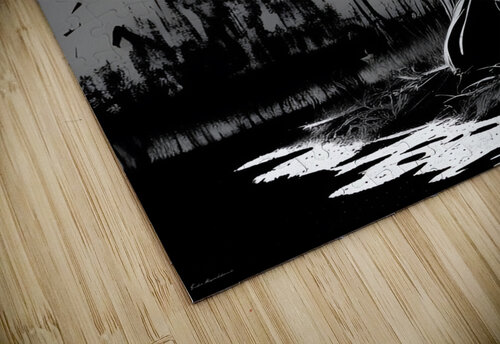 Moonlit Echoes fadi van yaldani puzzle