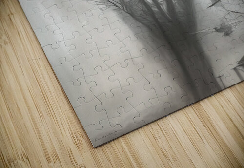 A Ghostly Awakening fadi van yaldani puzzle