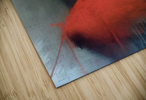 The Silence Between Shadows fadi van yaldani puzzle