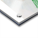 The Father Acrylic print