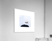 Untitled Acrylic Print