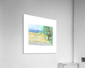 Untitled Acrylic Print