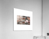 The Game Acrylic Print