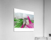Autumn Acrylic Print