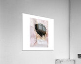 Untitled Acrylic Print
