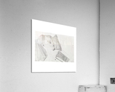 Drawing Acrylic Print