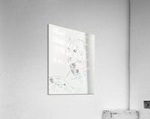 Drawing Acrylic Print
