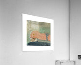 Untitled  Acrylic Print