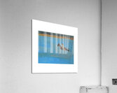 The Horse Acrylic Print