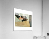The Dog Acrylic Print