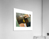 The Bag Acrylic Print