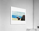 The Horse Acrylic Print