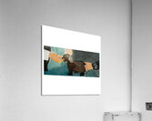The Dog Acrylic Print