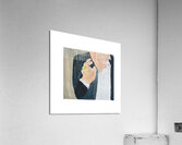 Untitled Acrylic Print