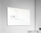 Drawings Acrylic Print