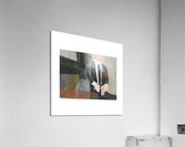 Untitled Acrylic Print