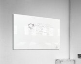 Drawings Acrylic Print