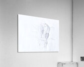 Drawings Acrylic Print